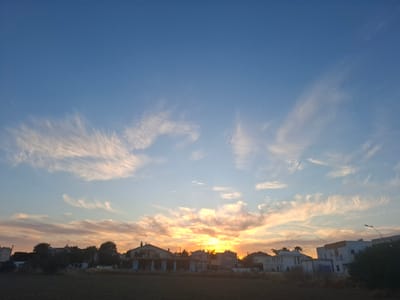 A serene sunset illuminates a suburban landscape in Lakatameia, Cyprus. The sky is the dominant feature, displaying a gradient from deep blue at the top to warm hues of orange, yellow, and pink closer to the horizon. Wispy, elongated cirrus clouds are scattered throughout, appearing white against the blue sky and catching the golden light closer to the sun, creating delicate patterns.

Along the horizon, a cluster of residential buildings and houses is silhouetted against the bright glow of the setting sun, which is positioned centrally and partially hidden by clouds and distant structures. These buildings exhibit various architectural styles, with some appearing to be multi-story. Dark silhouettes of trees and shrubs, including several palm trees, are visible between and around the houses, indicating a Mediterranean climate.

The foreground consists of a dark, uncultivated plot of land, possibly a field or vacant lot, suggesting an interface between urban development and open space. The overall scene evokes a peaceful end to the day, with no visible text present in the image.
