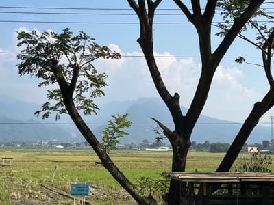The image depicts a rural landscape with a rice paddy field in the foreground, situated in the city of Bejalen, Indonesia. In the mid-ground, a small building with a light-colored facade and a dark roof is visible among scattered trees. The background features rolling hills or mountains under a clear blue sky with scattered clouds. Dominating the foreground and framing the scene are the dark, silhouetted branches of several large trees. Some of these branches extend diagonally across the frame. A small, open-sided wooden structure with a flat roof is positioned to the lower right. A blue sign with white text is partially visible in the lower left quadrant of the image, standing upright in the field. Overhead, several dark power lines stretch horizontally across the sky. The rice paddy appears to be partially flooded in some areas, with visible tilling marks. The overall atmosphere is serene and natural.