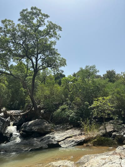 An outdoor scene depicts a natural water feature with a small waterfall cascading over rocks into a pool. Lush green trees and foliage surround the water, with a clear blue sky overhead. The terrain is rocky and uneven, with a large tree growing prominently on the left side of the frame. The image appears to capture a tranquil and undeveloped natural landscape, possibly in Fobur, Nigeria. There are no people or animals visible.