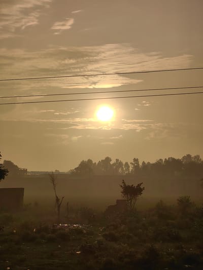 The image depicts a rural landscape bathed in the golden light of a setting or rising sun. In the foreground, there is dense vegetation and some debris scattered on the ground. A rectangular concrete structure is visible on the left side of the frame. Further into the middle ground, a barren tree stands out against the hazy background. Beyond that, a line of trees forms a silhouette against the bright sky. Three power lines stretch horizontally across the upper portion of the image. The sky is filled with scattered clouds, and the sun is a luminous orb in the upper right quadrant. The overall atmosphere is serene and somewhat misty. The scene appears to be located in or around Kohana, India, based on the provided information.