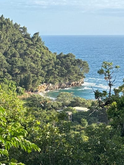 The image captures a coastal scene in Brežine, Montenegro. The sea occupies the upper left of the frame. The coastline is characterized by a cliff face and foliage. A structure, scaffolding, can be seen. Lush green trees fill the right side of the image.
