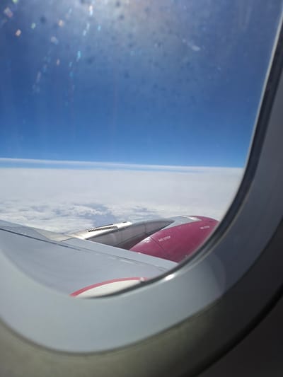 The image presents a forensic view from inside an aircraft cabin, looking out an elliptical window. The immediate foreground is occupied by the gray-painted aircraft window frame, with the window glass exhibiting numerous small, rectangular, and circular light aberrations or particulate matter, particularly concentrated in the upper left quadrant. Through the window, the mid-ground reveals a portion of the aircraft's port wing, painted light gray/silver. Adjacent to the wing and partially obscured by the window frame is a twin-engine nacelle; its forward section is a distinct magenta or dark pink color, transitioning to a silver-metallic finish with visible grilles and vents closer to the wing root. White stencil text reading "NO STEP" is clearly visible on two areas of the magenta engine cowl.

The background beyond the aircraft structures consists of an extensive, dense layer of white stratocumulus clouds stretching to a clear horizon line. Above this cloud deck, the sky transitions from a lighter azure blue near the horizon to a deeper, richer blue in the upper portion of the frame. Bright sunlight illuminates the scene from the upper right. The scene depicts an aircraft in flight at cruising altitude above a cloud layer.

The image does not contain any discernable ground features or other contextual elements that would permit identification of its specific location within the city of Doljevac Municipality, Serbia, or any other ground-based geographical area.