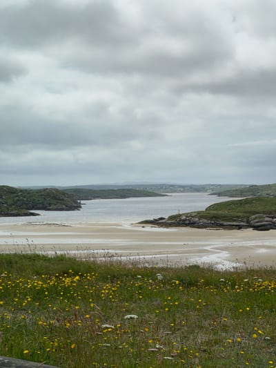 This is a vertically oriented, eye-level, landscape photograph of a beach in Bunbeg, Ireland. The scene captures a view of the coastline under a cloudy sky.
The primary subjects are the beach, the sea, and the grassy, wildflower-covered embankment. The beach itself appears wet and sandy, with distinct ripple marks from the receding tide. The sea is a muted grey-blue, stretching out to meet a hazy horizon. Along the edge of the beach, rocky outcrops covered in green vegetation jut out into the water.
The embankment on the right side of the frame is densely covered with green grass and numerous small yellow wildflowers, creating a vibrant contrast with the sand and sea. Some taller, dried grasses and seed heads are also visible, adding texture to the scene. In the distance, a line of houses can be seen nestled into the green landscape, suggesting a small village or town.
The weather appears overcast, with a thick layer of grey clouds dominating the upper portion of the image. This suggests a cool, potentially damp day, common in the Irish climate. The time of day is indeterminate due to the overcast conditions, but the light is diffused and even.
There are no people or discernible objects in the image, focusing the viewer's attention solely on the natural landscape. The overall mood is serene and somewhat melancholic, characteristic of a cloudy day by the sea. No text is visible in the image.