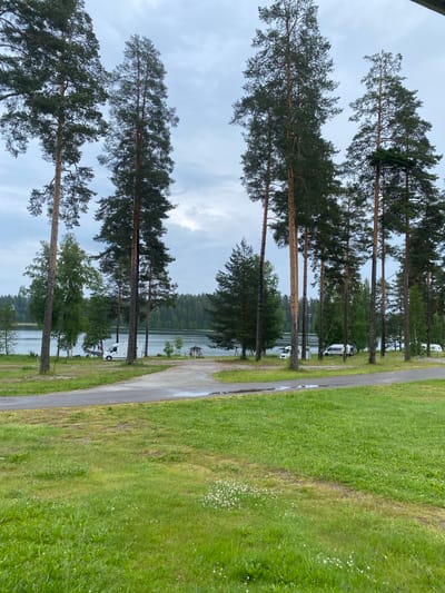 The image depicts a serene, overcast day at a campsite adjacent to a lake, likely in Savonlinna, Finland. Tall pine trees line the edge of the campsite, with their tops reaching towards a cloudy sky. A paved path, wet from recent rain, runs alongside a lush green grassy area where small white wildflowers are scattered. In the background, the calm lake is visible, reflecting the grey sky and the dense forest that encircles it. A small wooden gazebo or boathouse stands near the water's edge. Several white campervans are parked in the campsite, suggesting a quiet retreat or holiday. The overall atmosphere is peaceful and tranquil, indicative of a natural setting with minimal human activity. The time of day appears to be daytime, but the cloudy weather creates a subdued light. There is no visible text in the image.