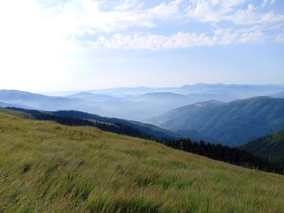 A panoramic view captures rolling hills and distant mountains under a bright, partly cloudy sky. The foreground is dominated by a grassy meadow, sloped and swaying gently. The middle ground features a dense line of dark green pine trees bordering a forested mountainside. Beyond this, a series of layered, blue-hued mountain ranges recede into the hazy distance. The image appears to be taken from a vantage point overlooking a valley in the Carpathian Mountains, likely near the village of Kvasy, Ukraine, known for its scenic mountain landscapes. No people or specific man-made structures are visible in this natural environment.
