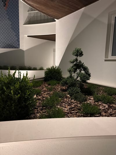 This is an outdoor nighttime photograph of a modern architectural design featuring a planter with manicured shrubs and a small, sculpted tree. The planter is filled with bark mulch and low-lying green plants. Behind the planter, a white wall with a curved section is visible. Further back, a dark, patterned surface, possibly a window or tile, is set into another white wall. Above, a wooden ceiling or overhang extends across the top of the frame. The lighting suggests artificial illumination. The image is likely taken in the city of Novara, Italy, given the context of the request. There are no people or animals present in the image.