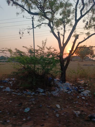 The image depicts an outdoor environment during sunset or sunrise in Kothacheruvu, India. The foreground consists of dry, reddish-brown earth extensively covered with assorted refuse, primarily white, blue, and multicolored plastic debris. In the midground, a prominent, large deciduous tree with dark, gnarled branches and sparse green foliage is silhouetted directly against the low sun, visible as a bright orange disc. To the left of this tree, a thick cluster of smaller green shrubs is present. A utility pole supporting multiple horizontal power lines stands vertically near the center-left, also silhouetted. The sky above transitions from a light blue at the top to a warm orange-pink hue near the horizon. The background reveals a flat expanse of dry, light-brown terrain, with additional trees exhibiting green foliage and some rocky formations visible further in the distance on the right. No human subjects or animals are discernible.