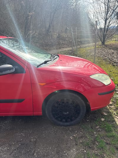 The image depicts the front-left section of a red, four-door passenger car, likely a Ford Focus, parked outdoors on a sunny day. The vehicle's front-left fender, hood, part of the windshield, side mirror, and front-left wheel are visible. The red paint is generally clean, though the black textured plastic housing of the side mirror shows some dirt or weathering. An amber side indicator light is present on the fender, and the front headlight lens exhibits some yellowing or cloudiness. The front-left wheel is fitted with a black, multi-spoke hubcap. Intense direct sunlight creates strong lens flare and reflections across the windshield and hood, originating from the upper-left of the frame.

The car is situated on an unpaved, dark brown dirt or gravel surface, with faint tire tracks visible in the foreground. To the immediate right of the car, the ground consists of patchy green grass intermingled with brown, dried leaves and organic debris.

In the background, a dense growth of bare deciduous trees and shrubs forms a natural, untended landscape. A chain-link fence, supported by metal posts, stretches horizontally across the mid-ground. Beyond the fence, a narrow dirt path is partially discernible, followed by a grassy field and additional trees further in the distance. No people or active interactions are visible in the scene. The image contains no discernible landmarks or specific details to confirm its location within the city of Radovljica, Slovenia.