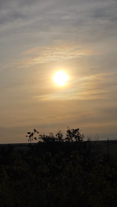 The image depicts a silhouetted landscape at dusk or dawn. A bright, luminous sun is positioned in the upper center of the frame, casting a warm, golden glow across a sky filled with wispy, layered clouds. The lower half of the image is dominated by the dark silhouettes of dense vegetation, including trees and bushes, forming a foreground against the illuminated sky. A faint, dark line suggesting a horizon or distant terrain separates the sky from the vegetation. The scene is devoid of any human presence or discernible man-made structures, presenting a natural, tranquil setting. The location is identified as Vozsiiatske, Ukraine.
