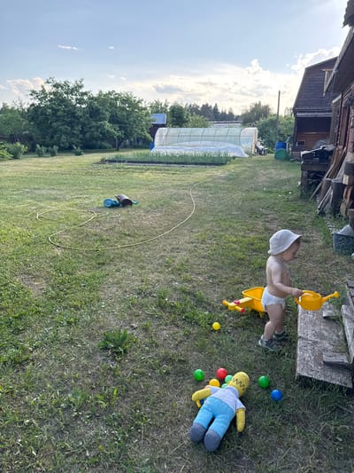 A young child, wearing a white sun hat and a diaper, stands on a grassy yard next to a yellow toy wheelbarrow and a yellow watering can. The child is holding the watering can and appears to be interacting with a wooden structure. Several colorful plastic balls and a stuffed toy resembling Homer Simpson are scattered on the grass. In the background, a greenhouse, trees, and wooden structures are visible. The sky is partly cloudy with a sunset hue. The scene is set in the village of Krivandino, Russia, which is characterized by its rural setting with agricultural elements like greenhouses and wooden outbuildings.