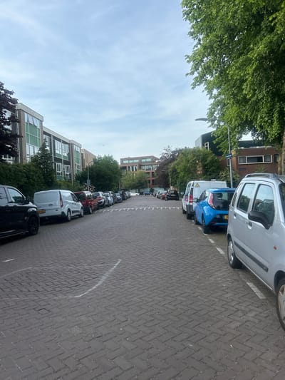 The image shows a street scene in Haarlem, Netherlands. The street is paved with dark grey bricks in a herringbone pattern. Cars are parked along both sides of the road. Buildings are visible on the left side of the road, appearing to be apartments or offices with numerous windows. Trees line the street, partially obscuring the buildings and sky. A street sign is visible near a light post. A white painted line marks the edge of the parking spaces. The sky is light blue with some clouds. The general atmosphere suggests a quiet residential or commercial area.