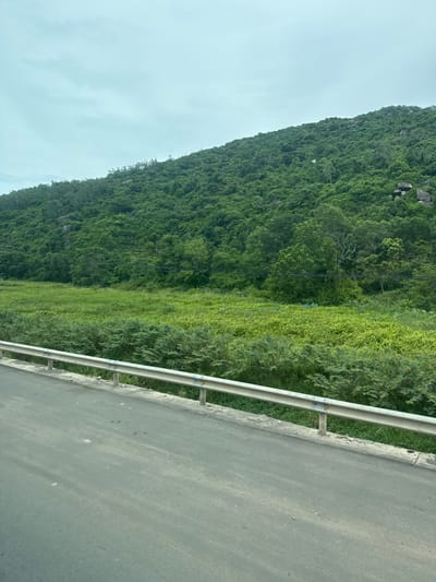A desolate, overcast day frames a lush, green mountain slope on the horizon. In the foreground, a gray asphalt road stretches diagonally from the bottom left to the middle right, bordered by a metal guardrail. Beyond the guardrail, a field of vibrant green vegetation transitions into the dense foliage of the mountain. A few dark rocks are visible scattered on the mountainside, and small, dark structures, possibly buildings, are perched near the summit. The overall scene suggests a rural or natural environment in Hoa Xuan, Vietnam.