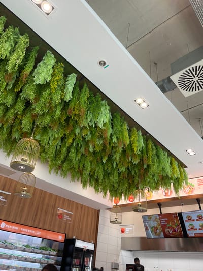 The image depicts the interior of a food establishment, likely a restaurant or eatery, in Bottrop, Germany. The ceiling features a dense, hanging arrangement of artificial green and yellow foliage, interspersed with hanging decorative birdcages containing light fixtures. Below the foliage, a wooden beam supports the arrangement.
On the wall, there is a digital menu board displaying food items, including images of soup and what appears to be a stew. Text on the menu is visible in German and Chinese. Another sign indicates "DISHES PREPARING" with a red icon. Further along the wall, a refrigerated display case filled with various food ingredients is visible.
In the lower part of the image, a person is partially visible, facing away from the camera, potentially interacting with a counter or a piece of equipment. The environment suggests a modern, casual dining space with a focus on decorative elements.
