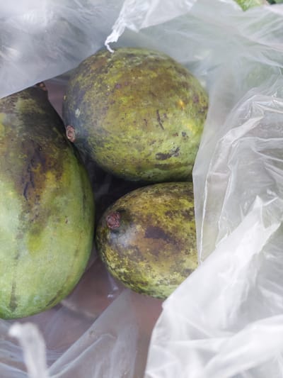 A close-up, overhead shot shows three green mangoes inside a translucent white plastic bag. The mangoes have dark blemishes and some reddish-brown spots on their skin, indicating they may be ripe or slightly overripe. The bag is crinkled and partially obscures the mangoes. The lighting is bright and natural. The image appears to be taken in an outdoor setting, possibly a market or street vendor stall in Parit Baru, Indonesia.