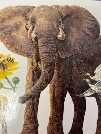 The image shows a close-up illustration of an elephant, likely an African elephant, with its large ears spread. The elephant has prominent tusks and its trunk is partially visible, curving downwards. To the left of the elephant, a bee is depicted on a yellow flower, with a small green bud below it. Further to the left, the hindquarters of a light-colored animal, possibly a deer or antelope, are visible. On the right side of the elephant, two birds with white and blue plumage are shown in flight. The background is plain white. The image does not contain any information related to Zhigalovo, Russia.