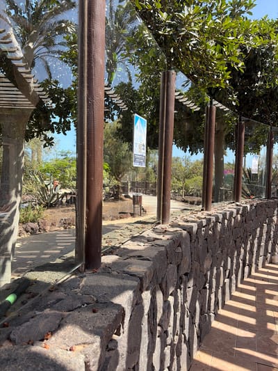 The image shows a view through a glass barrier supported by wooden posts. In the foreground, a stone wall is visible, with a paved pathway casting striped shadows on it. Beyond the barrier, a garden area features palm trees, succulents, and other lush greenery. Sunlight illuminates the scene, creating a bright and natural atmosphere. The location is identified as Antigua, Spain, suggesting a warm, possibly coastal environment.