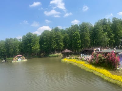 The image depicts a lake surrounded by trees under a blue sky with scattered clouds. A decorated barge floats on the lake near the opposite shore. The near shore features a yellow flower border, a gazebo, and flowering bushes near a building and walkway. The location is Xinghua, China.