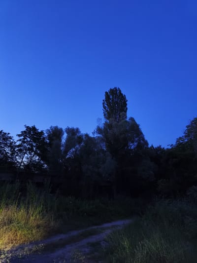 This is a nighttime image of a rural area, likely on the outskirts of Dimitrovche, Bulgaria. The sky is a deep, clear blue, indicating it is twilight or early night. In the foreground, there is a dirt path running through tall grass and vegetation. The path is illuminated on the left by a bright, yellow light, likely from a vehicle's headlights. The middle ground is dominated by a dense line of trees, silhouetted against the sky. One tall, slender tree stands out above the others. The background shows more trees and a dark, indistinct structure, possibly part of an abandoned building or bridge. There are no people visible in the image.