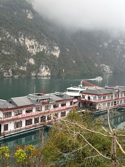 The image depicts a panoramic view of a river scene in Gongtan, China, characterized by a deep, green-tinted waterway flanked by steep, heavily vegetated mountains under a hazy, overcast sky. In the midground, two multi-story floating structures, resembling traditional Chinese architecture, are moored along the river. These structures are predominantly white with red trim, multiple windows, and dark grey tiered roofs. Red Chinese lanterns are suspended along their balconies, and red banners with white Chinese characters are affixed to their upper levels. A red flag is visible on a pole atop the left structure. A large white passenger vessel is docked behind these floating structures, partially obscured by a red metal truss. Further out on the river, a smaller white motorboat travels from right to left, generating a distinct wake, while another larger white vessel is visible in the middle distance. The mountains on both sides of the river are covered in dense green foliage interspersed with exposed grey rock faces, with their upper sections fading into a low-hanging mist. The immediate foreground is occupied by a dense cluster of green and brown foliage, including a prominent, mostly bare tree branch extending across the lower right portion of the frame. No individuals are explicitly visible.