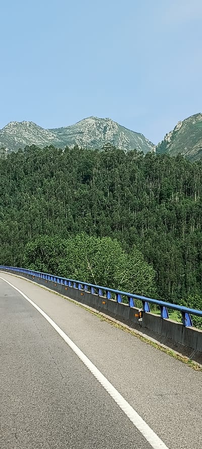 This image depicts a road scene with a steep, forested mountain on the left and a guardrail bordering the right side of the asphalt road. The sky above is a clear, pale blue, suggesting fair weather and daytime. The mountain is densely covered with trees, predominantly evergreens, with patches of lighter-colored rock visible on its upper slopes. A lighter green, perhaps deciduous tree, stands out among the evergreens. The guardrail is a bright blue with reflective orange markers, indicating it's a modern highway or road. The asphalt road has a white line marking its edge. The perspective suggests the photo was taken from a moving vehicle, looking sideways. There is no text visible in the image. The location context of Ribadesella/Ribeseya, Spain, places this scene in a coastal mountainous region of northern Spain, known for its lush greenery and scenic drives. The overall impression is one of travel through a natural, picturesque landscape.