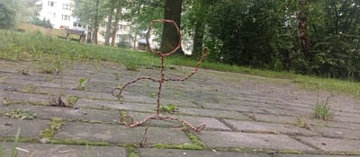 In Karviná, Czechia, a wire figurine of a person is positioned on a paved pathway in a grassy area. The figurine, made of copper-colored wire, is bent into a human-like shape with a circular head, a torso, and limbs extended in a dynamic pose. It is situated on a path composed of rectangular gray paving stones, with patches of green moss and grass growing in the cracks between them. In the background, a dense line of trees forms a backdrop, with a multi-story building visible behind the trees on the left side of the image. The overall scene suggests an outdoor urban environment with elements of nature interspersed with man-made structures.