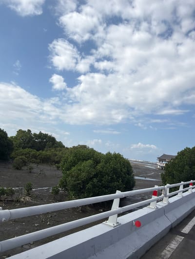A wide-angle, eye-level outdoor shot captures a serene coastal scene under a bright blue sky dotted with fluffy white clouds. In the foreground, a modern concrete barrier with white railings runs along the edge of what appears to be a bridge or elevated walkway. The railing is constructed of parallel white pipes supported by vertical white posts, with intermittent red and white reflective markers.
Beyond the barrier, a muddy, tidal flat stretches out, characterized by dark, wet earth and sparse vegetation. Dense, green mangrove trees line the left side of the frame, their foliage lush and varied in texture. In the distance, a long pier or boardwalk extends over the water, leading to a traditional-looking building with a dark, multi-tiered roof and ornate details. The pier is lined with more trees, and there appears to be some activity or structures visible at its far end. The overall impression is one of a peaceful natural environment integrated with man-made structures, likely a scenic spot in South Denpasar, Indonesia, where such coastal ecosystems are common.