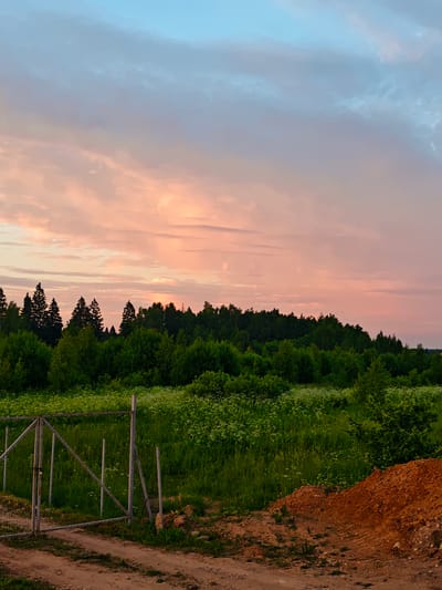 The image depicts a rural landscape at dusk, featuring a vibrant sky with hues of pink, orange, and blue. In the foreground, a dirt road leads to a rustic metal gate and fence bordering a lush green field dotted with white wildflowers. Beyond the field, a dense forest of coniferous and deciduous trees forms a dark line against the illuminated sky. To the right of the frame, a mound of reddish-brown soil is visible. The scene appears to be located in the vicinity of Курово, Russia, suggesting a tranquil, natural setting. There are no people or animals present in the image, and no discernible actions are taking place. The overall impression is one of peaceful twilight in a natural, undeveloped area.