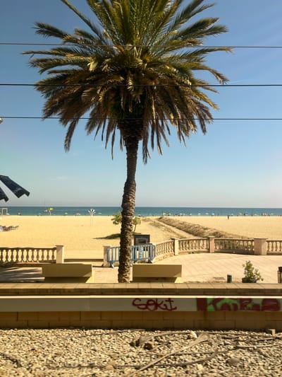 This media file captures a view of a beach in el Masnou, Spain, on a clear, sunny day. The dominant subjects are a large palm tree on the left, its fronds creating a silhouette against the bright blue sky, and the sandy beach stretching towards the sea on the right. Numerous people are scattered across the beach, some seated under umbrellas, others walking or standing near the water's edge. The ocean is a calm, deep blue.
Adjacent to the beach is a paved walkway with decorative railings and staircases leading down to the sand. A building with textured walls and some graffiti is visible in the foreground on the right. The graffiti, in red and green, includes lettering that appears to spell "SOKI". Several wires run horizontally across the image, partially obscuring the palm tree and the sky. In the distance on the beach, there's a small windmill-like structure. The overall atmosphere is one of a typical summer day at a popular seaside resort. The lighting suggests it is late morning or early afternoon.