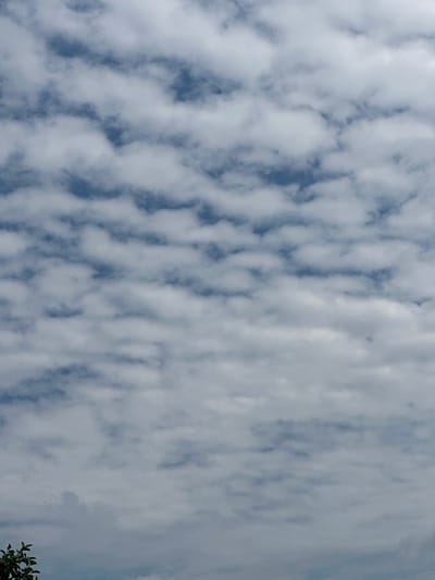 The media file captures a cloudy sky with a pattern of cumulus clouds. The clouds appear fluffy and white, with patches of blue sky visible in between them. The arrangement of the clouds suggests a textured, wavy pattern across the sky. The image is shot from a low angle, looking upwards. In the lower right corner, a few green leaves and branches of a tree are visible, indicating an outdoor setting. The lighting suggests it is daytime, possibly mid-morning or afternoon, given the brightness of the clouds. The weather appears to be fair, with clouds indicating typical atmospheric conditions. There are no people or man-made objects prominently featured in the scene, focusing solely on the natural landscape of the sky and a hint of foliage. The scene evokes a sense of calm and natural beauty. No text is visible in the media file.