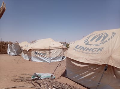 The image captures a scene within a refugee camp in Goshabi, Sudan, under a clear, bright sky. The setting is arid, characterized by sandy, dry ground with scattered dry straw-like debris. No people are visible in the frame.

The primary subjects are several large, light-colored tents, which appear to be temporary shelters. The tent in the foreground and others partially visible bear the blue logo of the United Nations High Commissioner for Refugees (UNHCR), featuring two stylized human figures embraced by olive branches. The text "UNHCR" and "The UN Refugee Agency" is clearly printed on the tents, indicating their purpose in humanitarian aid.

The tents are secured to the ground with ropes and stakes. In the background, other tents and what appears to be rudimentary structures made from branches and dry vegetation are discernible, suggesting a blend of organized and improvised shelter. A white and green bag lies on the ground near the front tent.

The strong, direct sunlight indicates it is daytime, possibly mid-morning or early afternoon, with minimal shadows cast by the tents. The absence of clouds reinforces the dry, clear weather conditions typical of an arid region. The overall scene depicts basic living conditions in a humanitarian aid context, emphasizing the provision of shelter by the UN Refugee Agency.