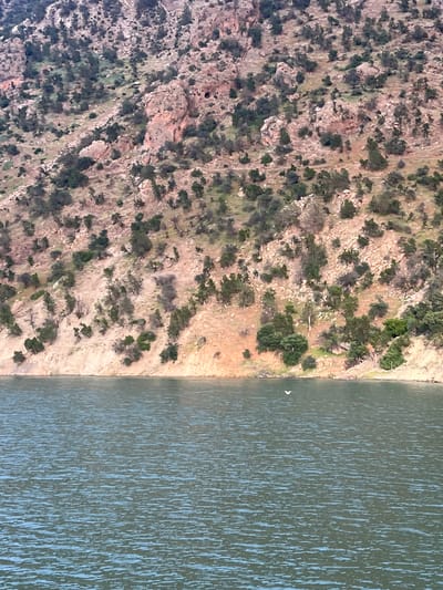 The image shows a section of land and water adjacent to Ait Mazigh, Morocco. The land consists of rocky, brown terrain sparsely covered with green vegetation, primarily low-lying shrubs and scattered trees. The water body, likely a reservoir or lake, is calm with a grey-green color. The shoreline transitions from the rocky landscape to the smooth surface of the water. A single white bird is visible near the shore, and the water's surface reflects vertical streaks of sunlight.