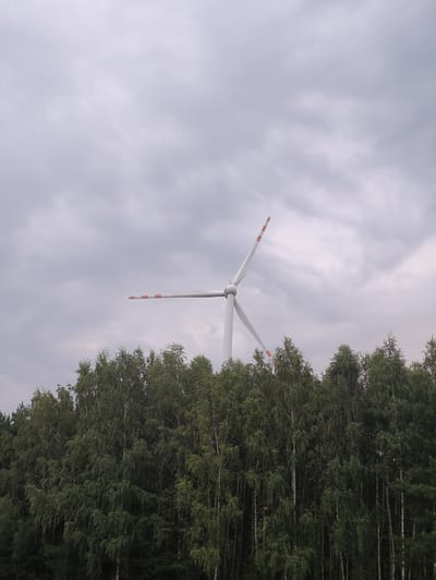 A wind turbine with white blades, each tipped with orange bands, stands tall against a cloudy sky. The turbine is partially obscured by a dense line of green trees, likely a forest, that runs horizontally across the lower portion of the image. The trees are a mix of deciduous and evergreen species, with birch trees being prominent. The sky is overcast with gray clouds, suggesting a dim or possibly rainy day. The location is identified as Wincentów, Poland.