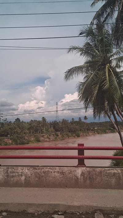 The image depicts a muddy brown river flowing through a landscape lined with lush green vegetation, primarily composed of numerous palm trees. In the foreground, a red metal railing runs horizontally across the frame, attached to concrete supports. Beyond the railing, the river is visible, with its banks covered in dense foliage. In the distance, a tall metal transmission tower stands against a cloudy sky. The sky itself is a mixture of light blue and dramatic white and grey clouds. The overall scene suggests a tropical environment, possibly a rural or semi-rural area near the city of Lhoknga, Indonesia, given the presence of palm trees and the river. There are no people or animals visible in the image. The atmosphere appears calm and natural, with the power lines overhead and the transmission tower indicating some level of human infrastructure within the natural landscape.