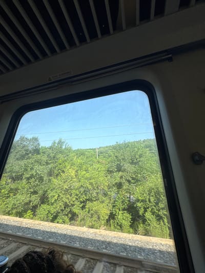 The image captures a view from inside a train compartment, looking out a window at a landscape of lush green trees and a bright blue sky. The train is moving, as indicated by the blur of the tracks and the roadbed visible in the lower portion of the frame. The interior of the train is visible around the window, with ribbed paneling along the ceiling and a dark window frame. There is a warning sticker with Chinese characters and English text on the upper part of the window frame, which reads "Pull handle soppnge wh care for cthery" which is likely a poorly translated warning. The scene appears to be set in the countryside outside of Huludao City, China, given the natural landscape and the presence of power lines, which are common in rural areas. The overall impression is one of travel and observing the scenery from a moving vehicle.