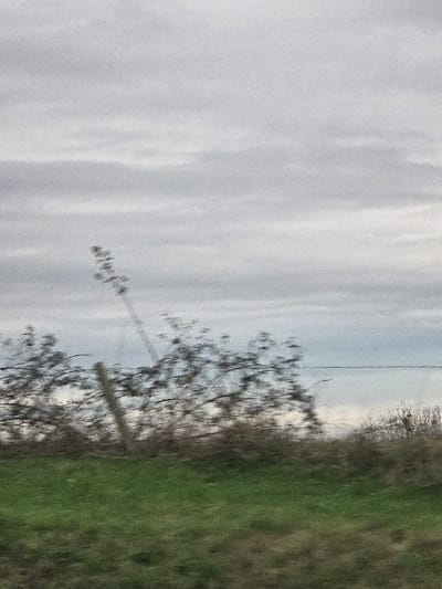 A cloudy sky dominates the scene. Below, a thin line of trees with bare branches stands between the sky and a field of green grass. A power line stretches from the lower left upwards. A wooden fence post is visible in the middle ground, adding a sense of depth to the rural landscape.