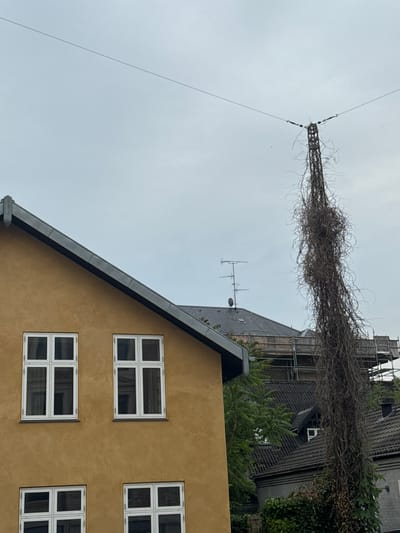 In Frederiksberg, Denmark, a tall, weathered wooden pylon stands to the right, draped in dense, dried ivy that hangs in tangled strands. It supports a taut wire that extends diagonally across the grey, overcast sky. To the left, the upper portion of a mustard-yellow building with a dark grey roof and white-framed windows is visible. Further in the background, rooftops of other buildings, some with dark tiled roofs, can be seen, with scaffolding erected on one structure, suggesting ongoing construction or renovation. A few trees with green foliage are interspersed between the buildings. The overall scene is one of urban architecture intertwined with natural elements.