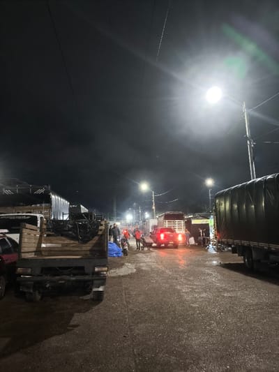 The image depicts a nighttime scene on a wet, unpaved or roughly paved street, characteristic of a commercial or market area in Pitalito, Colombia. Multiple bright streetlights on poles illuminate the scene, casting strong light and shadows, with significant lens flares present in the upper sky. Overhead power lines are visible against the dark sky.

In the immediate foreground on the left, the rear of a dark-colored flatbed truck with wooden sides and a black tarp covering its load is visible, with a portion of a red car to its left. On the right, a large dark-colored truck with a tarp-covered cargo area is parked, facing away from the viewer.

Further down the street in the midground, several other commercial trucks are present, including a white truck with a slatted livestock-style bed. A red pickup truck with illuminated taillights faces away from the camera. Multiple individuals are scattered throughout the midground. Several people are standing near vehicles; one person is seen pushing a handcart loaded with items, possibly sacks or bundles. At least two motorcycles are also present. The overall environment suggests active commercial operations or transport activities occurring at night.