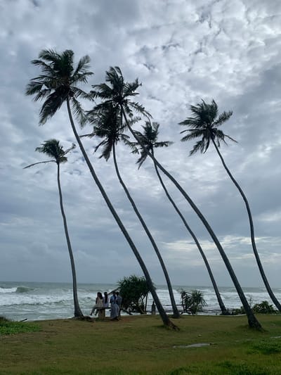 The image shows a cloudy day at a beach in Koggala, Sri Lanka. Several tall palm trees with dark green fronds are leaning at angles against a grey, overcast sky. In the foreground, a patch of green grass with a few puddles is visible. Along the shoreline, the ocean is choppy with white waves. A group of people, appearing to be a mix of men and women, are gathered on a bench near the water's edge, some facing the sea. Some greenery, including spiky bushes, is present between the palm trees and the beach. The overall atmosphere is natural and slightly dramatic due to the weather.
