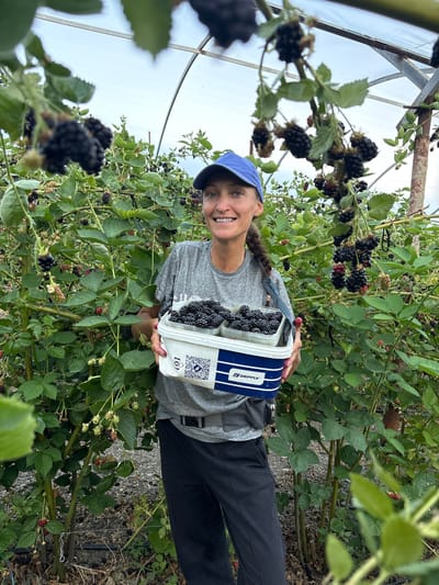A woman, wearing a blue baseball cap, a grey t-shirt, and dark pants, is shown in a greenhouse setting. She is holding a white plastic container filled with blackberries. The container has blue stripes and visible text that includes the brand name "GRIPPLE" and a QR code. The woman is smiling and looking at the camera, suggesting a positive emotion. She is surrounded by blackberry plants, with many ripe blackberries visible on the vines. The scene appears to be outdoors, or at least in a location with natural light, as indicated by the bright sky and the green foliage. The image has a slight tilt, suggesting it was taken from a low angle or that the camera was not held perfectly level. The setting appears to be a farm or an agricultural area, likely in Zaprudnoe, Ukraine, given the provided location context. The time of day seems to be daytime, with the light suggesting it could be morning or afternoon.