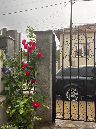 A ground-level view through a black wrought iron gate shows a black vehicle with a white wheel visible behind it. Overhanging the wall above the gate, a flowering plant with red roses and a few purple clematis-type flowers is present, along with other green foliage. In the background, a tan-colored building with a red-tiled roof is partially visible. Above the building, the sky appears overcast. The location is in Morava, Bulgaria.
