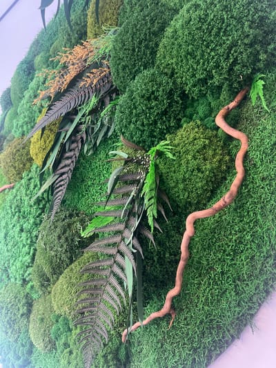The image shows a close-up, top-down view of a wall covered in various types of preserved moss and artificial plants, resembling a natural forest floor. A twisted, light brown branch snakes across the green mossy surface. Several types of fern-like plants are interspersed among the moss, some with feathery fronds in shades of green and dark brown. There are also some delicate, golden-brown seed-like sprigs. The textures of the moss vary, creating a rich, undulating tapestry of greens, from bright lime to deep forest green. The overall impression is that of a vibrant, textured natural display, possibly an indoor installation or decoration, designed to mimic a woodland environment. There is no visible text, people, or indication of time of day or weather conditions. The location context provided is "Minsk, Russia," though there are no explicit visual cues within the image to confirm this.