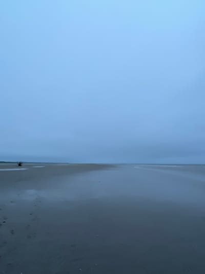 The image depicts a serene beach scene with a vast expanse of sand meeting a calm, overcast sky. In the distance, a solitary, dark, tree-like object stands on the left side of the frame, its branches stark against the muted horizon. The foreground shows wet sand with a few faint footprints, suggesting recent activity. The overall atmosphere is one of tranquility and solitude, characteristic of a quiet beach in Yandova Guba, Russia.