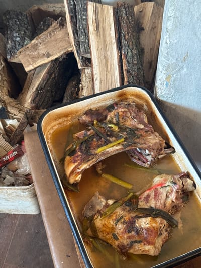 The image shows a metal baking pan containing two cooked portions of meat with long green vegetable stalks on top, sitting on a brown and white surface. The pan contains liquid at the bottom. To the left of the pan is a stack of chopped firewood. Below the pan, a container holds various trash, including a red Nescafé box. The location is in Dolna Grashtitsa, Bulgaria, but there are no people visible in the scene.