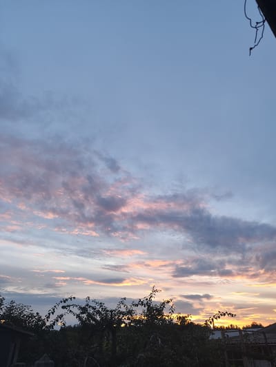 A vertical, low-angle, eye-level shot captures a twilight sky over a rural landscape in Cherneshchyna, Ukraine. The sky is a gradient of pale blue at the top, transitioning to hues of pink and orange near the horizon, illuminated by the setting sun. Scattered clouds are tinged with these warm colors, creating a picturesque scene. Silhouetted against the sky are the dark forms of trees and vegetation, with branches reaching upwards. In the foreground, the dark shapes of buildings and possibly fences are visible, partially obscuring the lower portion of the image. The overall impression is one of peaceful, natural beauty at dusk.