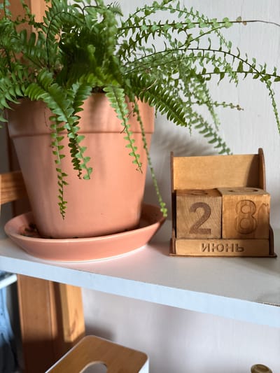The image depicts a close-up shot of a shelf, likely in a residential setting, featuring a potted fern and a wooden perpetual calendar. The fern, with its vibrant green fronds, is housed in a terracotta-colored pot with a matching saucer. To the right of the plant is a wooden perpetual calendar displaying the date "28" and the month "ИЮНЬ" (June). The background consists of a plain, light-colored wall. The shelf itself appears to be white. The overall scene is static and well-lit, suggesting a still life composition. There is no indication of the city of Bratsk, Russia, nor any elements that would place the scene within that specific location.
