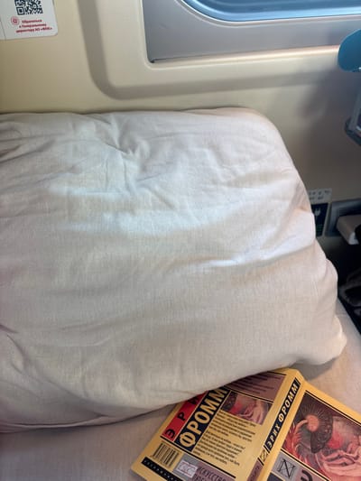 The image captures the interior of a Russian train compartment, ostensibly located within the city of Krasnoufimsk, Russia. The scene primarily features a rumpled, light beige or off-white pillow occupying the majority of the frame, resting on a matching light-colored surface, likely a seat or bed. In the lower right foreground, two books with yellow covers are partially visible, tucked beneath the pillow. Both books prominently display the author's name in red and black text as "ЭРИХ ФРОММ" (Erich Fromm). One book's title, partially obscured, appears to be "ИСКУССТВО ЛЮБИТЬ" (The Art of Loving), and its cover includes a barcode and a price sticker indicating "265".
The background reveals a light beige train wall paneling. A window is visible in the upper right, showing a blurred blue and white outdoor scene, indicative of movement. Below the window, a power outlet equipped with two ports (one appearing to be a USB-A and another a standard socket) has a white charger plugged into it. In the upper left corner, a white sticker with a black QR code and Russian text is affixed to the wall. The text reads "Обратиться к Генеральному директору АО «ФПК»" (Contact the General Director of JSC 'FPK'), identifying the rail carrier. No individuals, specific actions, or interactions are depicted within the static scene.