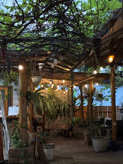 The image depicts an outdoor space in Bencongan, Indonesia, seemingly part of a restaurant or café. The area is decorated with wooden structures covered in foliage, including grape vines and other plants. String lights are strung across the space, providing illumination. Furniture, including chairs, is visible amongst the greenery. A menu is displayed on a wall. Pots containing plants are positioned throughout the area. The environment suggests a rustic and natural aesthetic.
