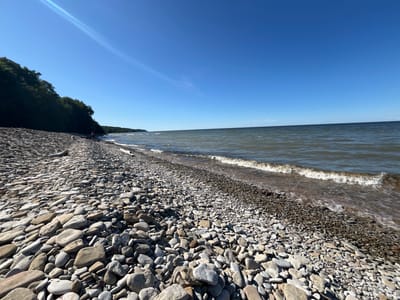 The image shows a wide, natural pebble beach with a clear blue sky and calm water. The beach is covered in a variety of smooth stones of different sizes and colors, with some driftwood scattered along the shoreline. The water is a murky brown color with small waves lapping at the shore. In the distance, a dense line of green trees borders the beach, suggesting a forested area. A single person is visible in the distance, standing near the water's edge. The sun is shining brightly, casting a slight lens flare in the upper left corner of the image. The scene is serene and depicts a natural, undisturbed coastal environment. This scene could be located on the coast of Toila, Estonia, known for its pebble beaches and forested areas.