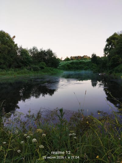 The image shows a serene natural landscape at dusk near Novoe, Russia. A calm body of water, reflecting the surrounding trees and the pale sky, dominates the center of the frame. The water's surface is partially covered with algae and floating debris. On the far bank, dense green trees and foliage line the edge of the water, with a gentle slope rising behind them. A faint mist hovers over the water in the middle distance, adding to the tranquil atmosphere. The foreground is filled with lush green grass and various wildflowers, some with small white blossoms and others with yellow ones. In the bottom right corner, text reads "realme 12" and "26 июня 2026 г. в 21:04", indicating the device and date/time the photo was taken. There are no people visible in the image. The overall scene depicts a peaceful natural setting during the evening hours.