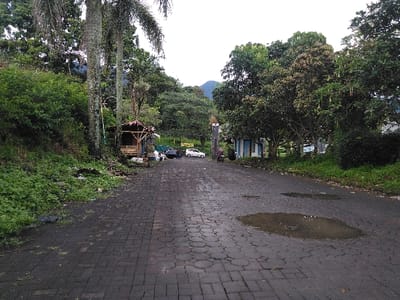 The image displays a paved, dark grey brick road traversing an outdoor area in Chan-Nua, Laos, under an overcast sky. The road surface exhibits numerous cracks and contains multiple puddles of water. On the left side, dense green foliage covers a rising embankment, with two tall, slender palm trees standing prominently. Beneath the palms, a small, open-sided wooden shack with a corrugated metal roof is visible, with assorted objects or refuse accumulated at its base. A dark-colored vehicle and a white car are parked on the road adjacent to the shack. On the right side, a line of lush green trees, some bearing distinctive hanging elements, borders the road. Behind these trees, a small, light blue building with a white base is partially visible. A person is seated on a dark-colored scooter or motorcycle, stationary on the road near this blue structure. Mountains are discernable in the distant background.